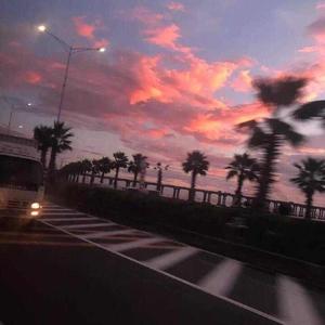 德国老妇女A片一级
